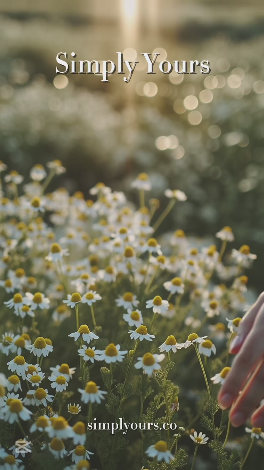 Autumn Whisper - Parfum Extait